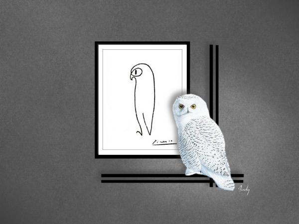 picasso owl sketch