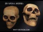 3D Skull Model OBJ