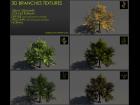 Branches textures pack 03