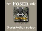 'Set Tiling' PoserPython script