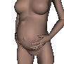 V4.2 Pregnancy CR2