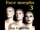 Face morphs for Genesis 3.