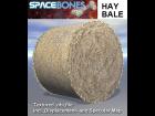 Hay Bale (Bryce 7 scene file)