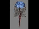 Jelly Fish Series Jelly Fish One