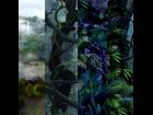 Jungle Backgrounds Collection