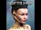 Vorta Hair