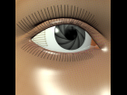 Robot Eyes for V4