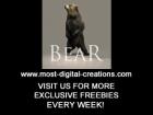 Bear for Poser and DAZ Studio