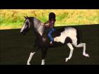 Megan rides horse and rider test animation