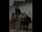 Cart & harness for Milhorse