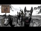 IditaroaD