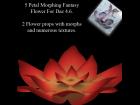 5 Petal Fantasy Morphing Flower for Daz Studio 4.6