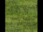 Grass Texture 3