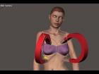 V4 Breast Manipulation Magnets