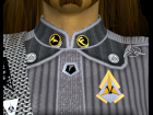 Star Trek: Klingon Divisional Pins M4/V4