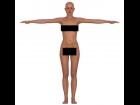 3D Female Blueprint for Modeling (nudity)