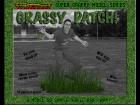 Grassy Patch