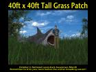 40ftX40ft Tall Grass Patch