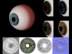 Eye Iris Textures
