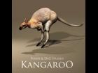 Kangaroo Prop for Poser and DAZ Studio