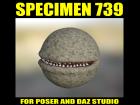 Specimen-739