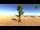 Released New Assets : Realistic Tree2