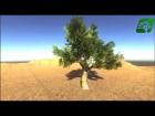 Get New Assets : Realistic Tree1