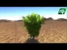 Released Realistic Assets : Realistic Bush2 Plant