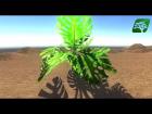 Released Assets In Unity3d : Realistic Monstera Plant