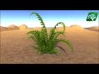 Want To Get New Assets : Realistic Boston Fern