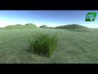 New Released Assets : Realistic Grass 3
