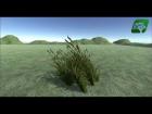 Gaming Assets : Realistic Grass