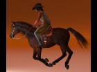 HIVEWIRE HORSE - GALLOP