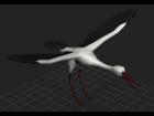 crane (bird) model