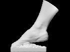 3D scan of Right Foot of the Dancer Fanny Elssler