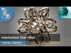 3d Tutorial | Interlocked Star Nest | 3dsMax