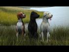There were 3 Dogs sitting on a river bank...when!