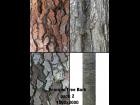 Ecorces/Tree Bark pack 2