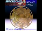 Bronce shield