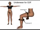 Underwear for G3F