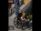 Wheelchair (for DAZ Studio)