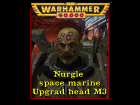 Nurgle space marine Upgrad head M3