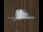 Cowboy hat- Cattleman crease