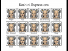 Koshini Expressions