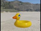 Basic Duck Pool Float - OBSOLETE SEE DESCRIPTION