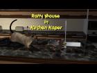 Ratty Mouse In Kitchen Kaper