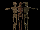 Daz's Skeleton Mats for Poser