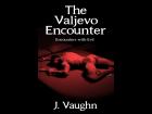 The Valjevo Encounter