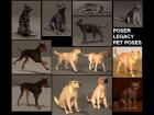 POSER LEGACY PET POSES