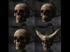 FREE Skull Prop With Face Presets & Scars